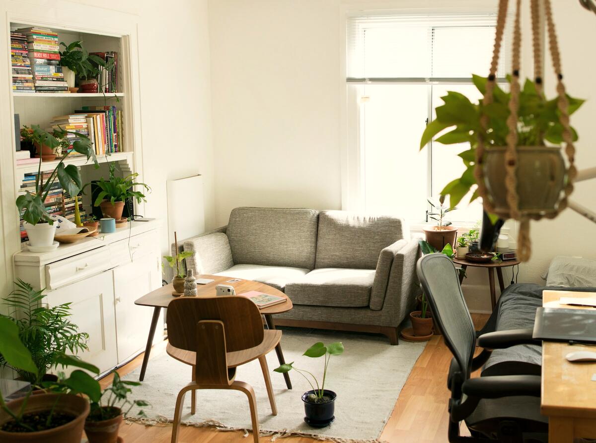 Salon lumineux d’une location saisonnière, canapé et plantes